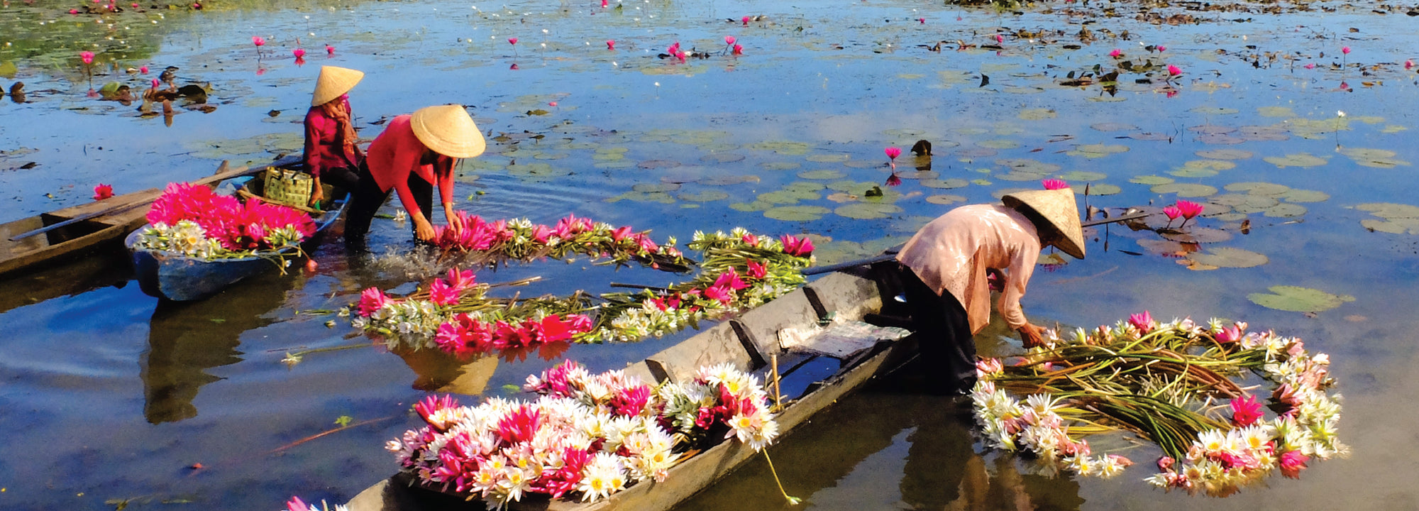 From Art To Skincare | The Lotus Flower | Asian Beauty X